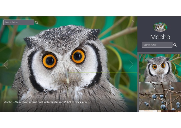 Mocho | Safer Twitter w/ Clarifai - PubNub Block api's – screenshot 1