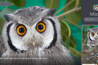 Mocho | Safer Twitter w/ Clarifai - PubNub Block api's
