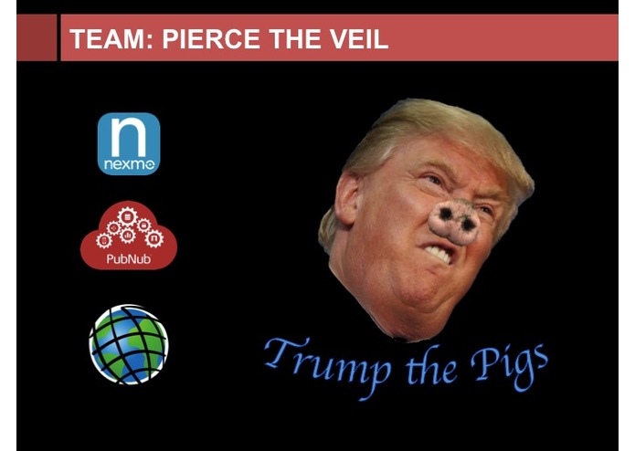 Trump the Pigs – screenshot 1