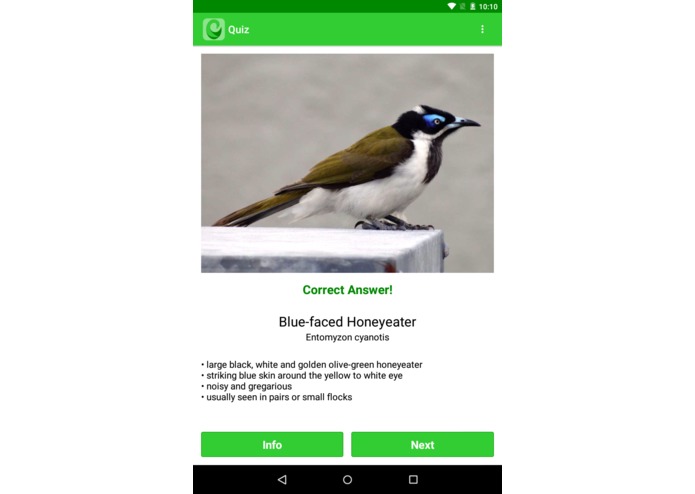 Oz Birds – screenshot 5