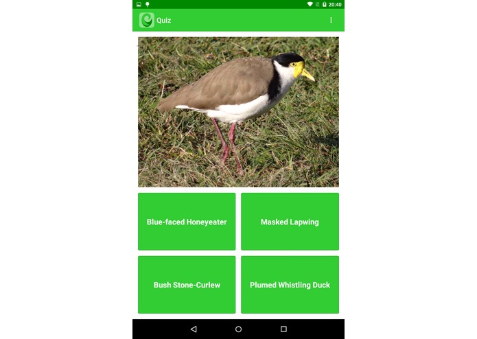 Oz Birds – screenshot 4