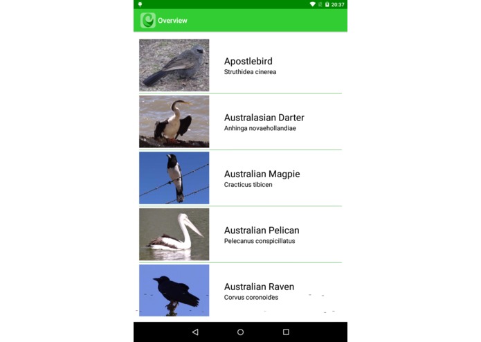 Oz Birds – screenshot 1