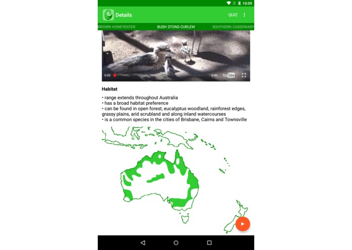 Oz Birds – screenshot 3