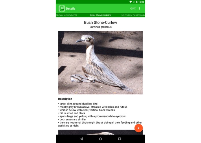 Oz Birds – screenshot 2
