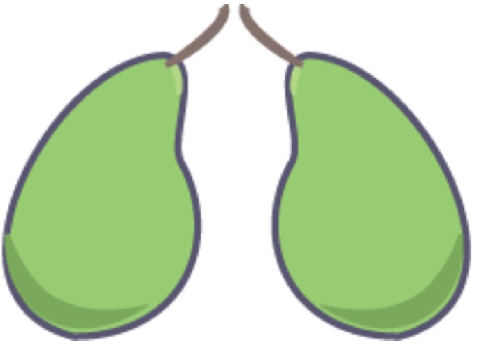 PAIR – screenshot 1