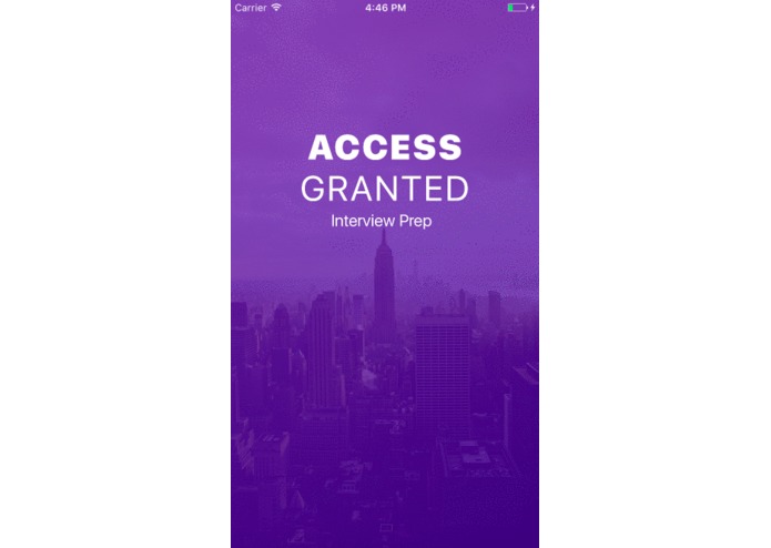 Access Granted – screenshot 6