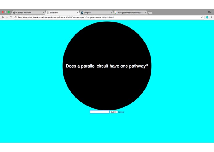 Team 10 The Electric Bill – screenshot 2