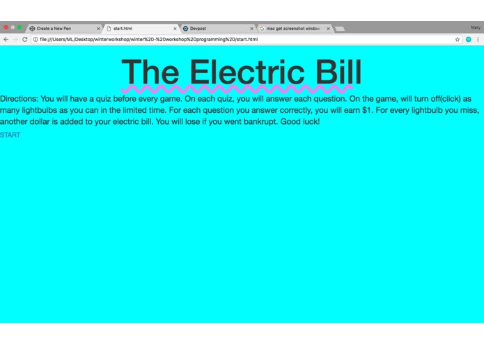 Team 10 The Electric Bill – screenshot 1