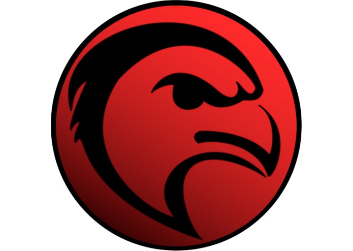 Falcon (Hello_World Team) – screenshot 1