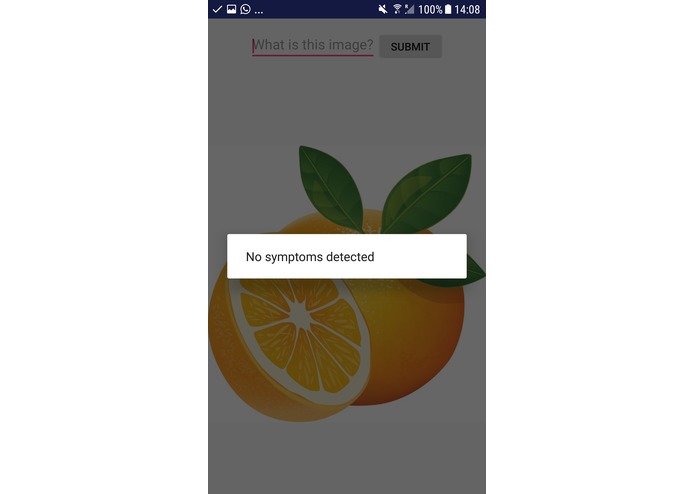 IctusDetection – screenshot 5
