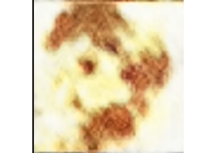 Neural Network Face Generator – screenshot 4
