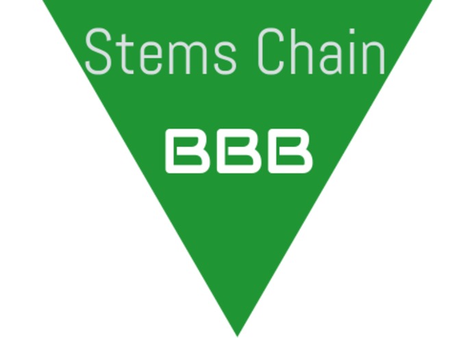 BBBlockchain: StemChain – screenshot 1