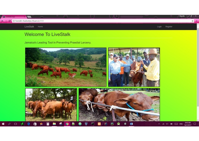 LiveStalk – screenshot 3