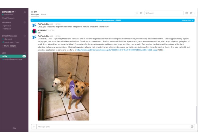 Lily – screenshot 1