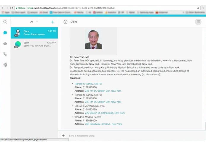 Diana – screenshot 3