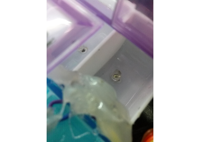 Intelligent Medicine Dispensary System – screenshot 3