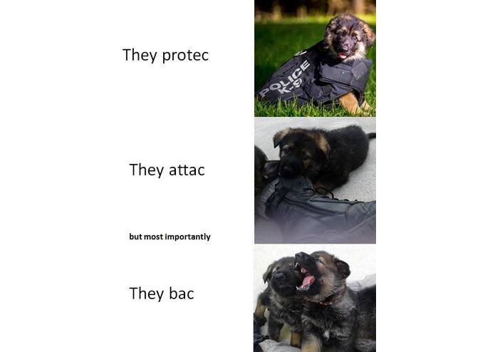 Sweet Dreams are made of Memes – screenshot 3