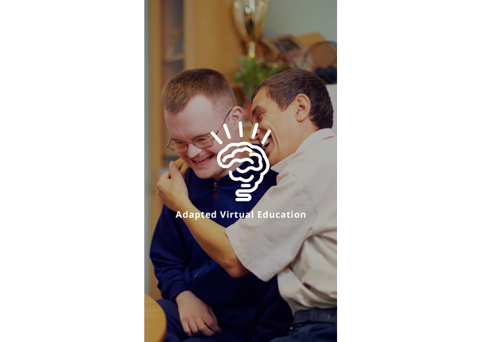 Adapted-Virtual-Education – screenshot 9