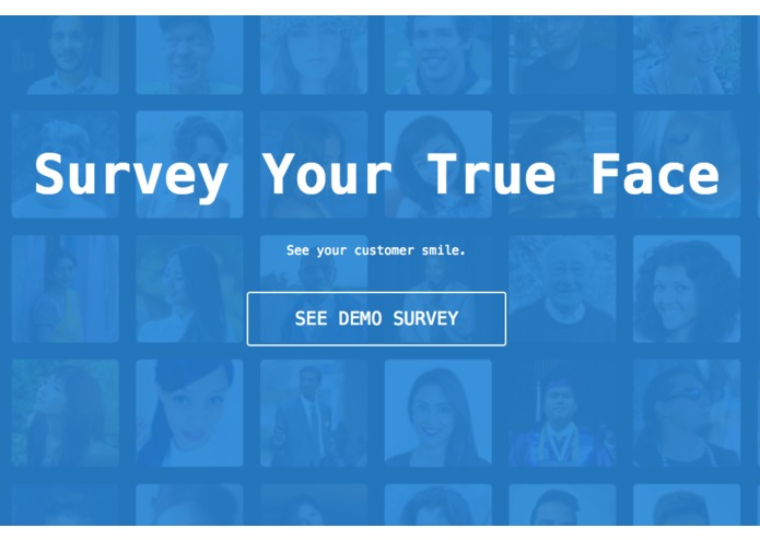 Survey Your True Face – screenshot 1