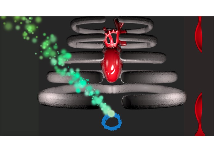 P.I.N.G – screenshot 2