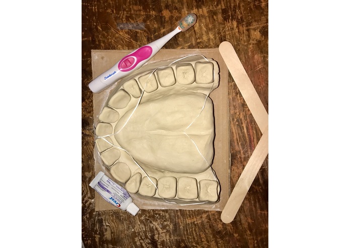 Videre Dental Imaging  – screenshot 2