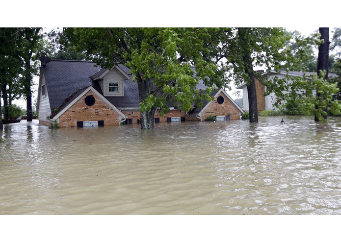 #9 - "9-1-Watson" – screenshot 1