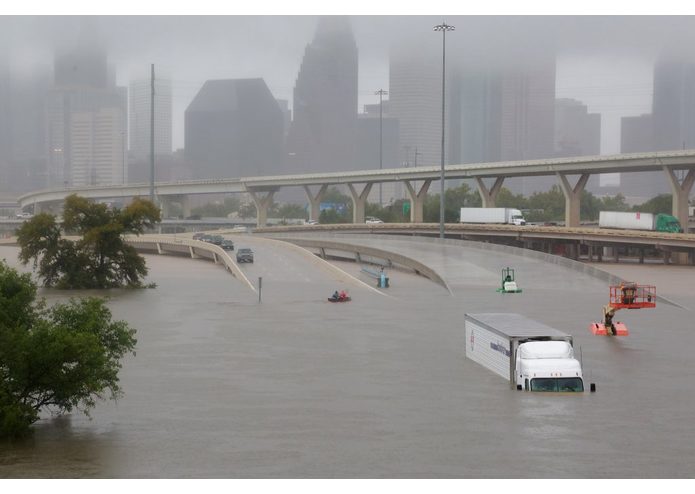 #9 - "9-1-Watson" – screenshot 2