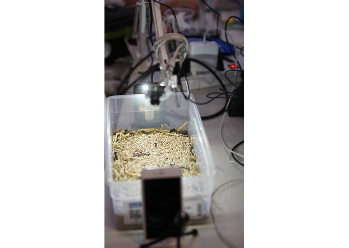 Check my Grains – screenshot 1