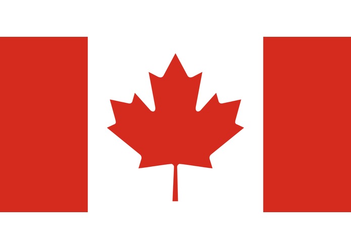 Mr. Goose – screenshot 1