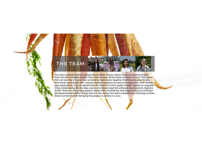 Carrot- providing food for better thoughts – screenshot 4
