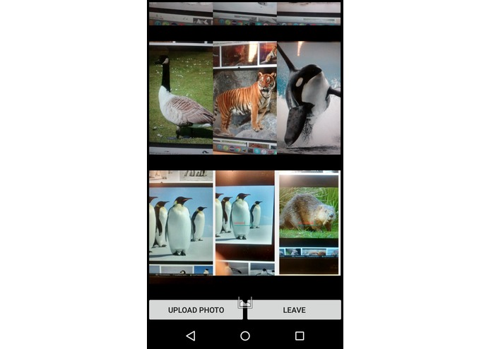 Pic Purfect – screenshot 1