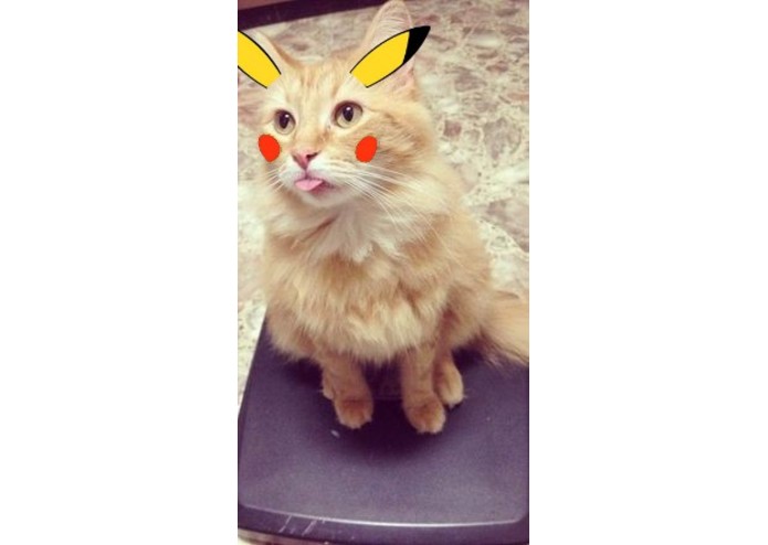 Pic Purfect – screenshot 3