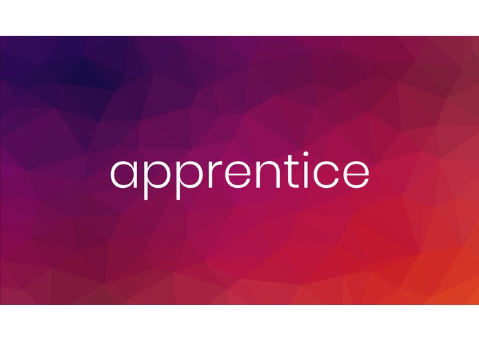 Apprentice – screenshot 1
