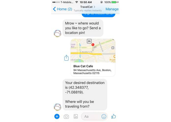 TravelCat – screenshot 2