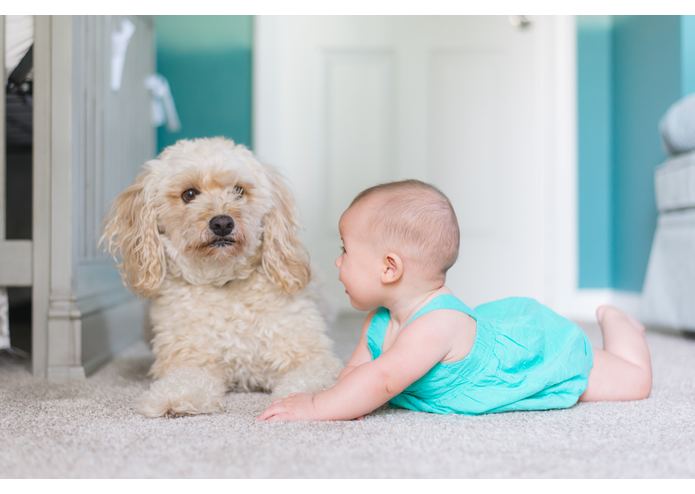 BabyBot – screenshot 1