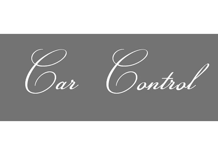 Car Control – screenshot 1