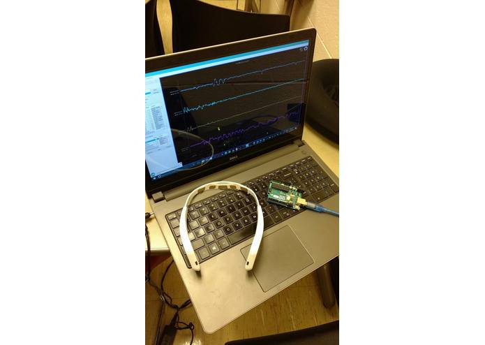 AMuseBrain – screenshot 1