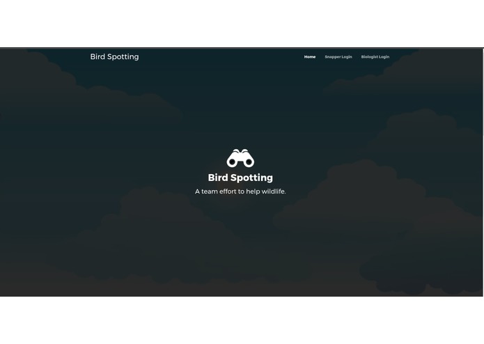 Macaw Me Maybe – screenshot 1