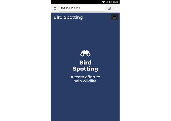 Macaw Me Maybe – screenshot 2