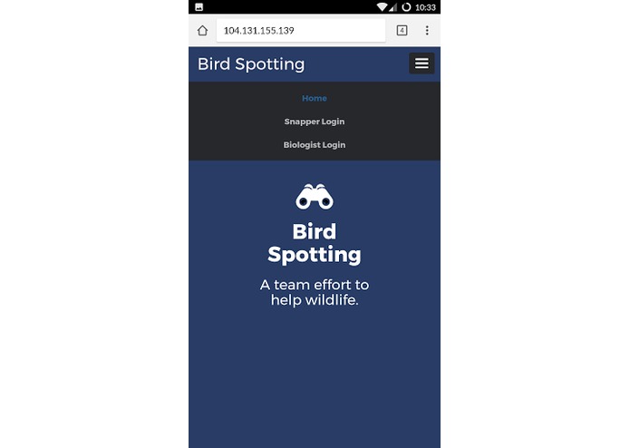 Macaw Me Maybe – screenshot 3