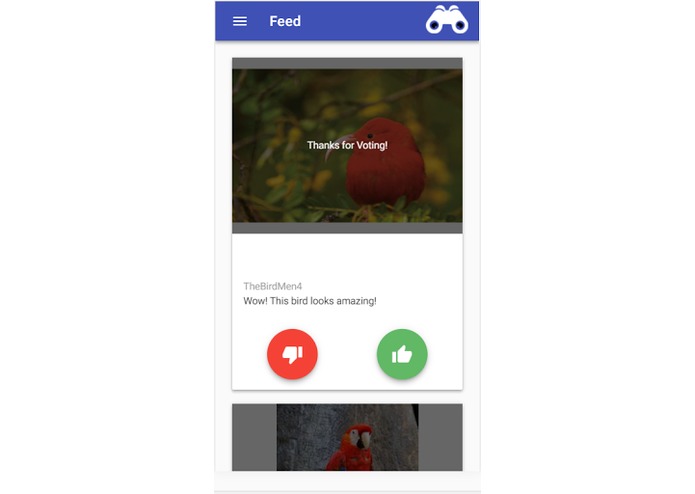 Macaw Me Maybe – screenshot 5