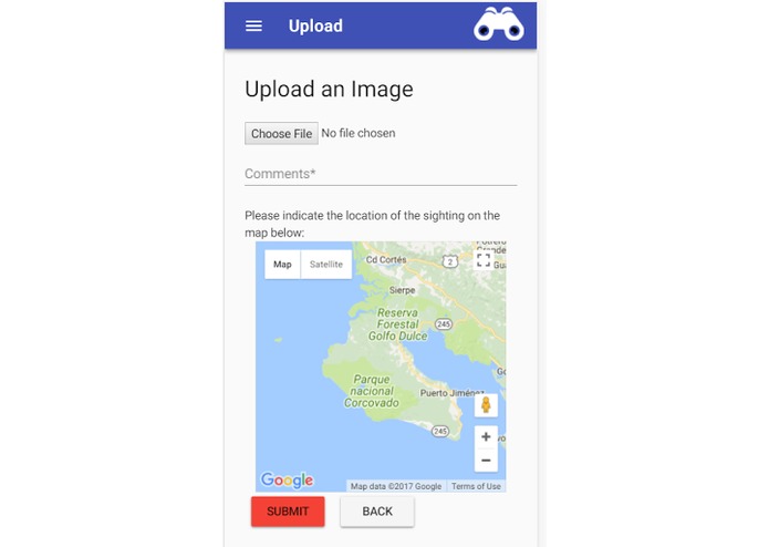 Macaw Me Maybe – screenshot 6