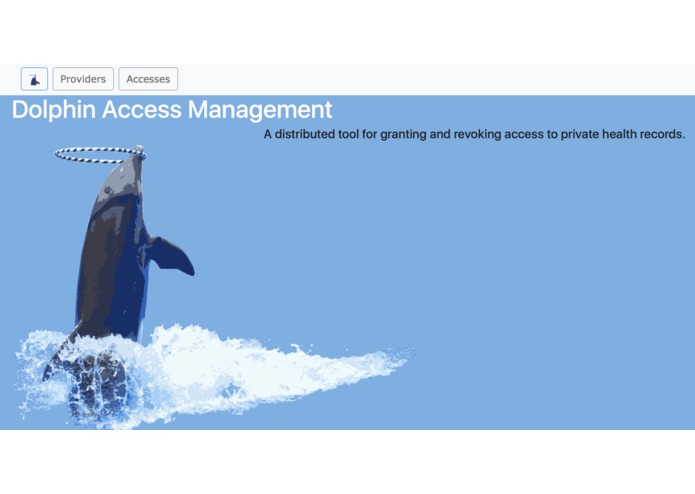 Dolphin – screenshot 5