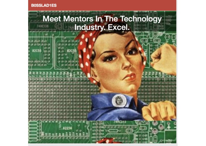 B0SSLAD1ES – screenshot 1