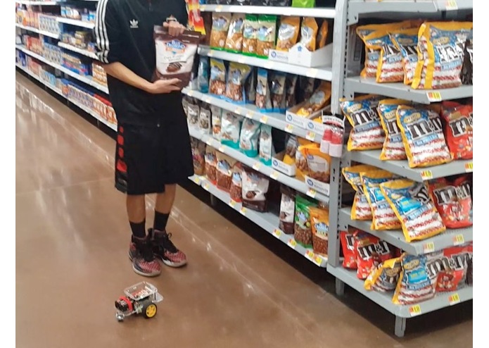 STAR (Site Transnavigation Autonomous Robot) – screenshot 4