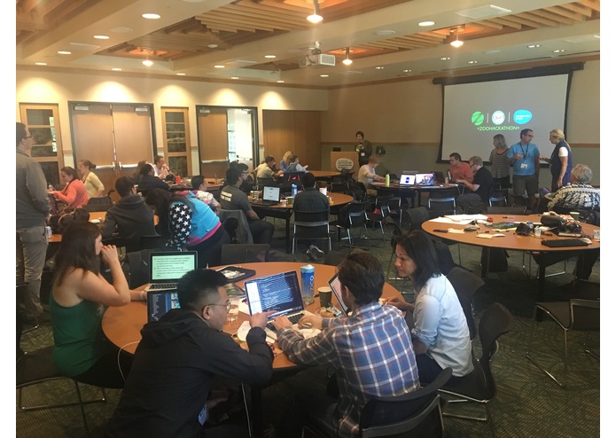 Ara Vista – screenshot 4