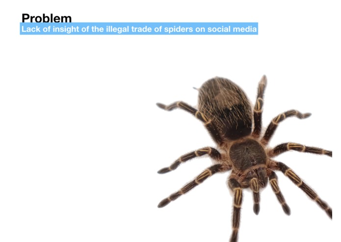 Arachnophilia – screenshot 1