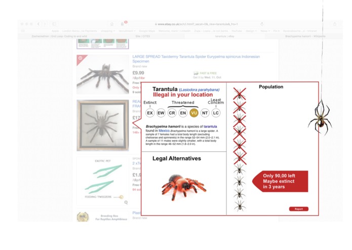 Arachnophilia – screenshot 3