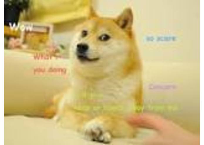 meme_wars – screenshot 1