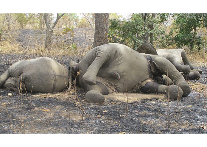 O.D.I.N.N. – screenshot 4